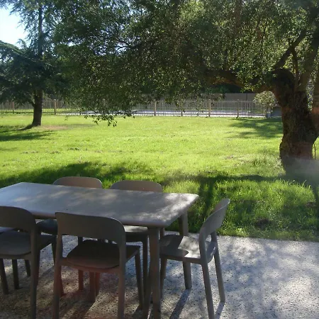 Domaine Du Flamand - Gites Du Flamand Nature & Ocean Daire Naujac-sur-Mer