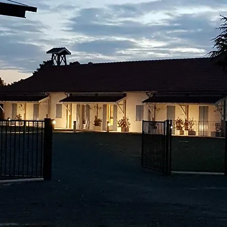 Domaine Du Flamand - Du Flamand Naujac-sur-Mer